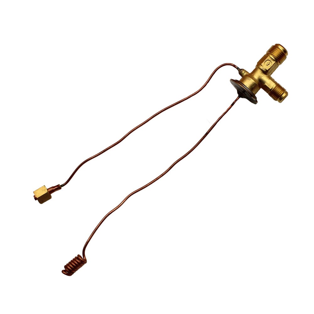 Expansion Valve Fits Agco Replaces 904-252