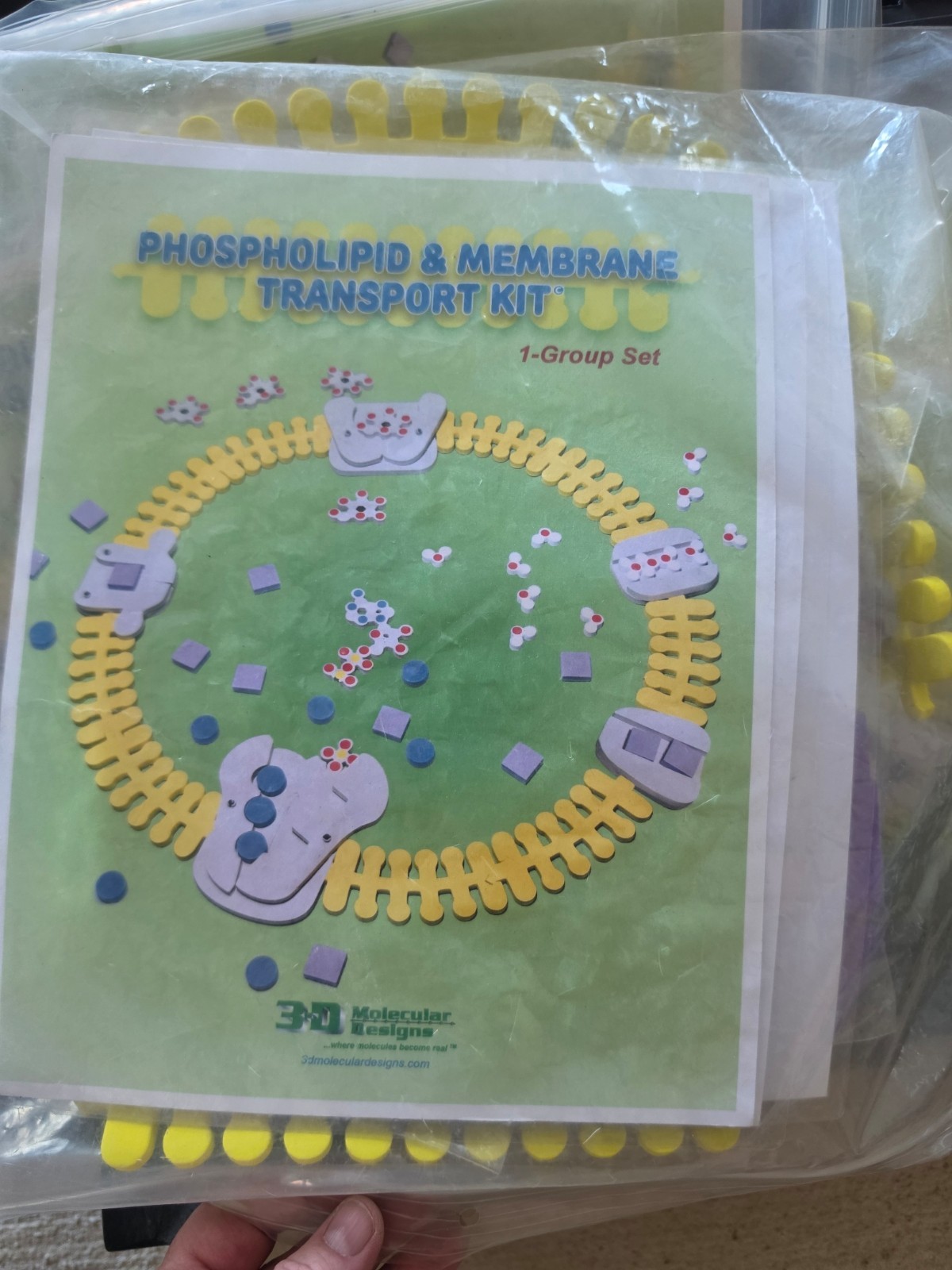 3D Molecular Designs PMTK-01 Phospholipid Membrane Transport Kit Biology NEW