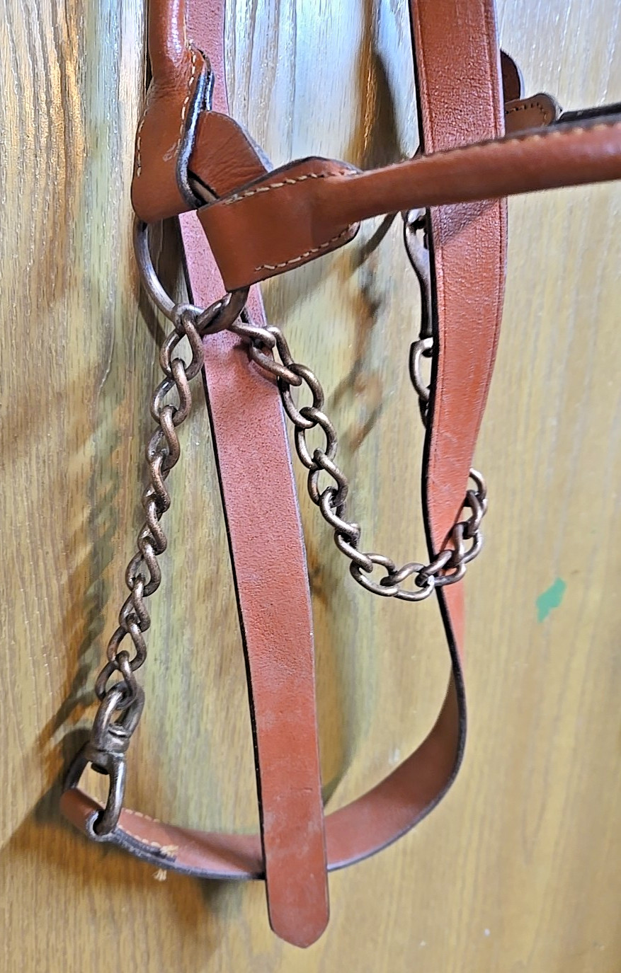Western 3/4" Leather Halter w/ Leather/Chain Lead