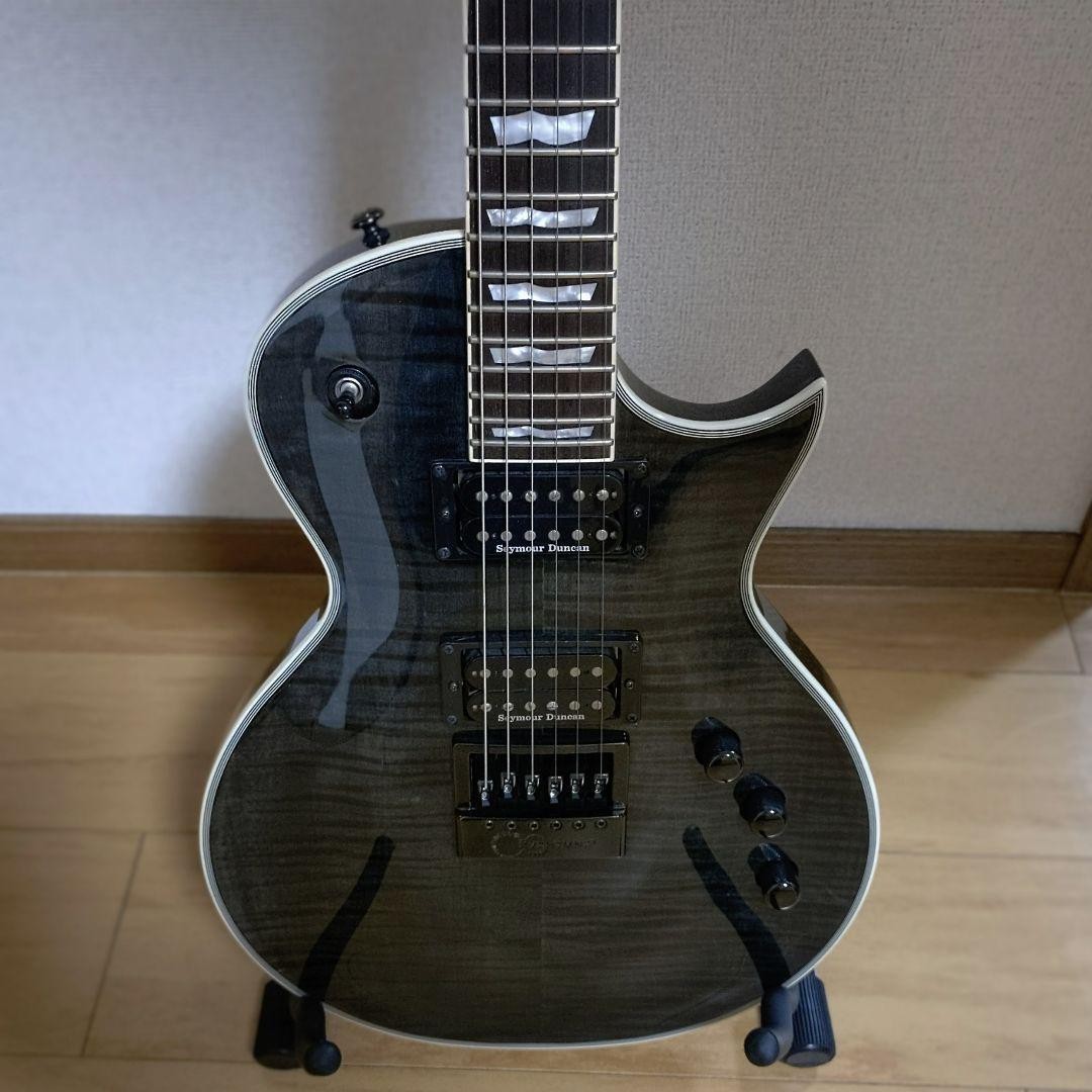 Esp Ltd Ec 1000 Evertune Electric Guitar Les Paul