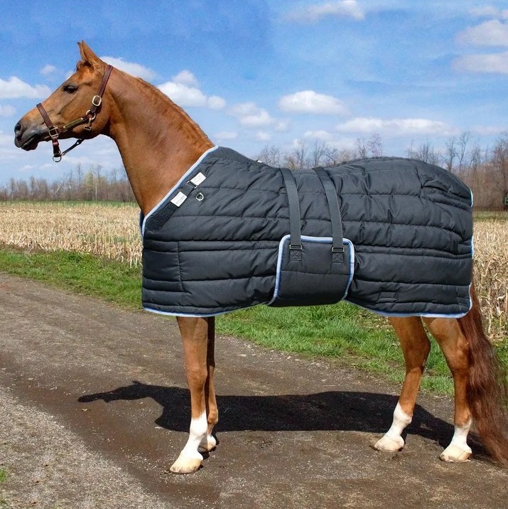 Schneiders Adjusta-Fit Tekno Quilt V-Free Bellyband Heavy Wt 440g Stable Blanket
