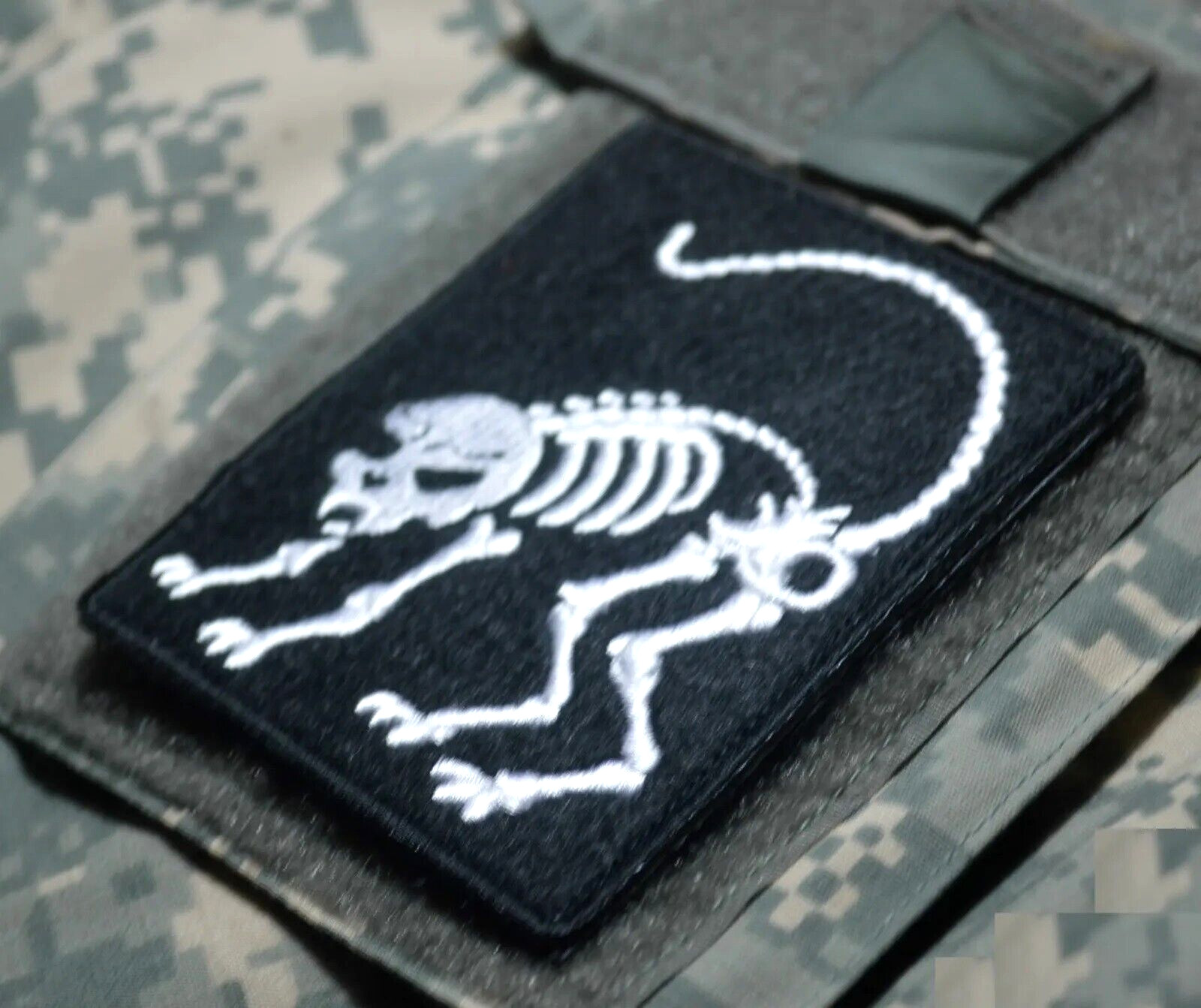 Combined Joint Special Operations Task Force CJSOTF-A vêlkrö PATCH: ZOMBIA CAT
