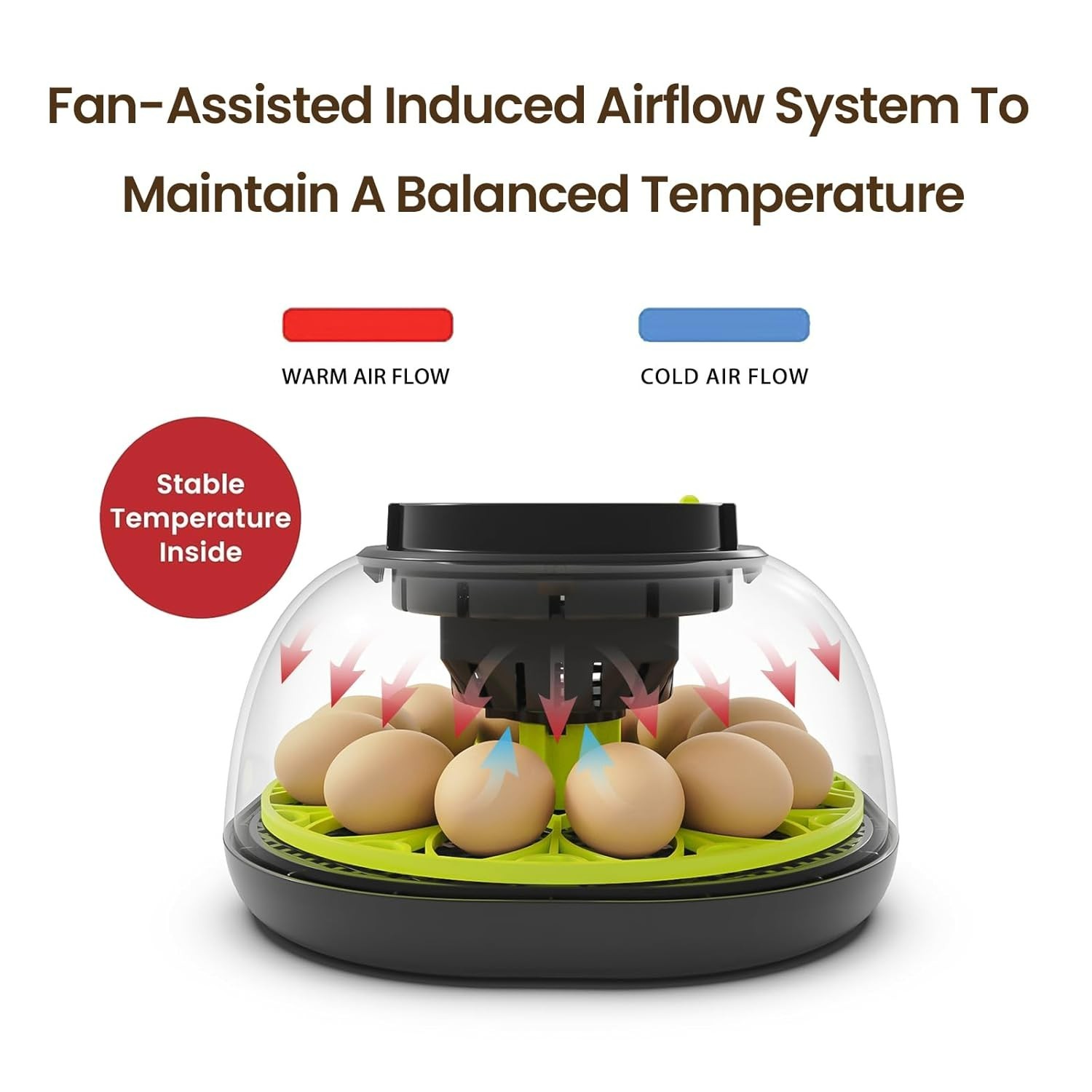 Efficient 12 Egg Incubator with Automatic Turning and Humidity Control Functions
