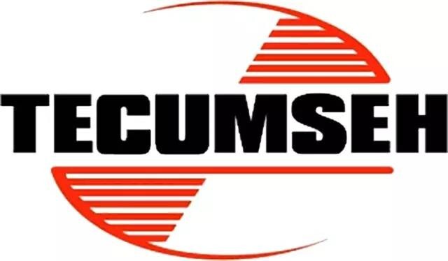 TECUMSEH OEM CARBURETOR KIT 631719 FITS MANY TECUMSEH OVER HEAD VALVE ENGINES