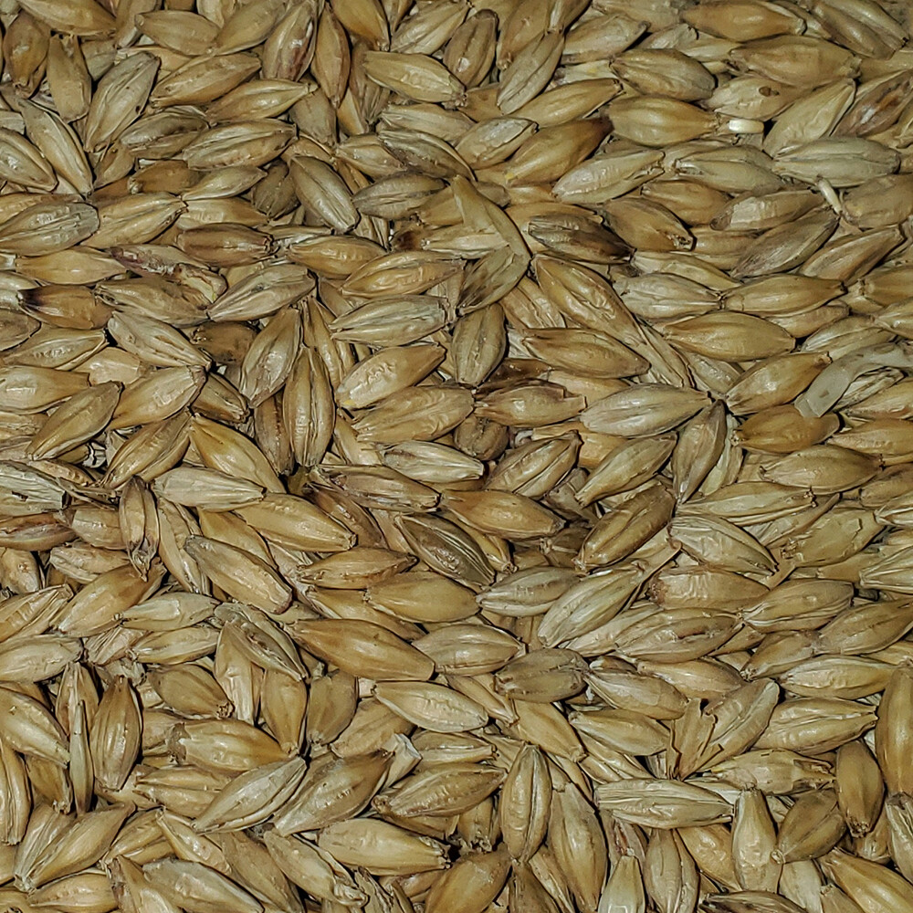 Rahr 2-Row 10 lbs. for Home Brew Beer Making
