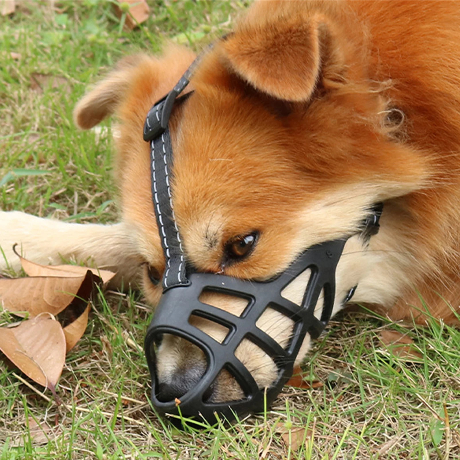 Dog Muzzle Drinkable Anti Biting Dog Muzzles Pet Anti-accidental Ingestion Mouth