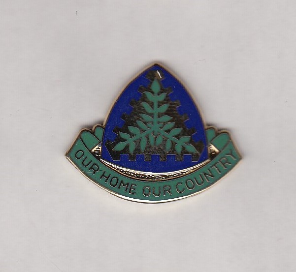 Virgin Island Army National Guard ARNG crest DUI badge c/b NSM