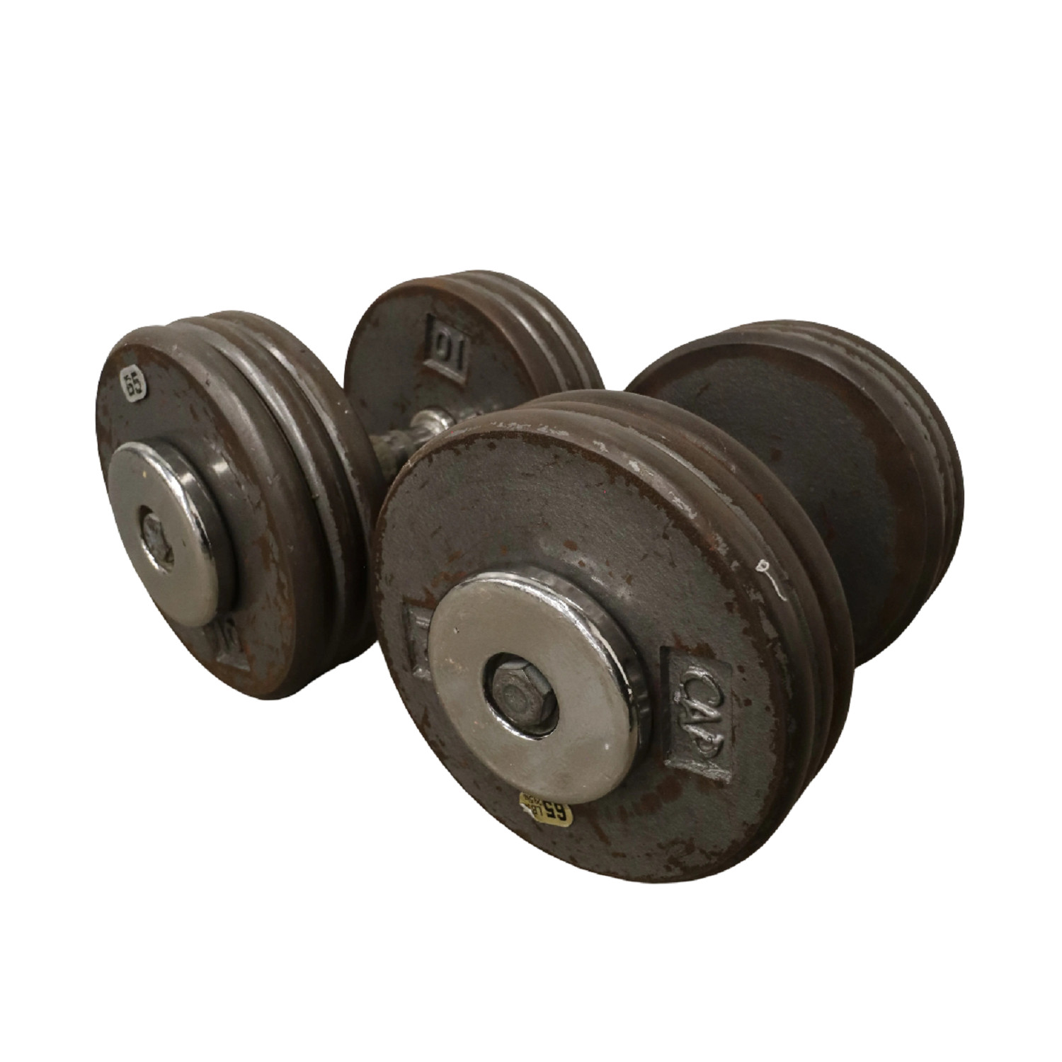 Freeweights Troy Pro Style Dumbbell 65 LB Pair