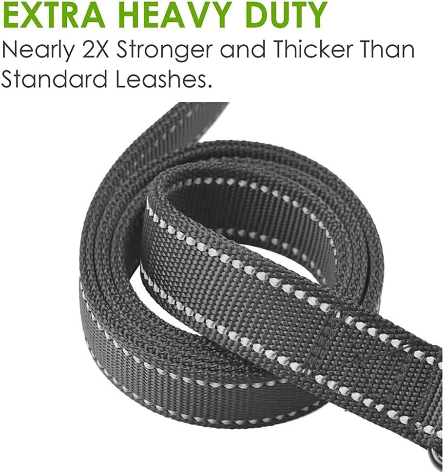 Heavy Duty Dog Leash with Traffic Handle
