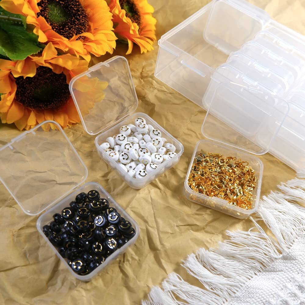 Large Clear Storage Box with 12 Pcs Small Bead Organizers Cases with Hinged Lid