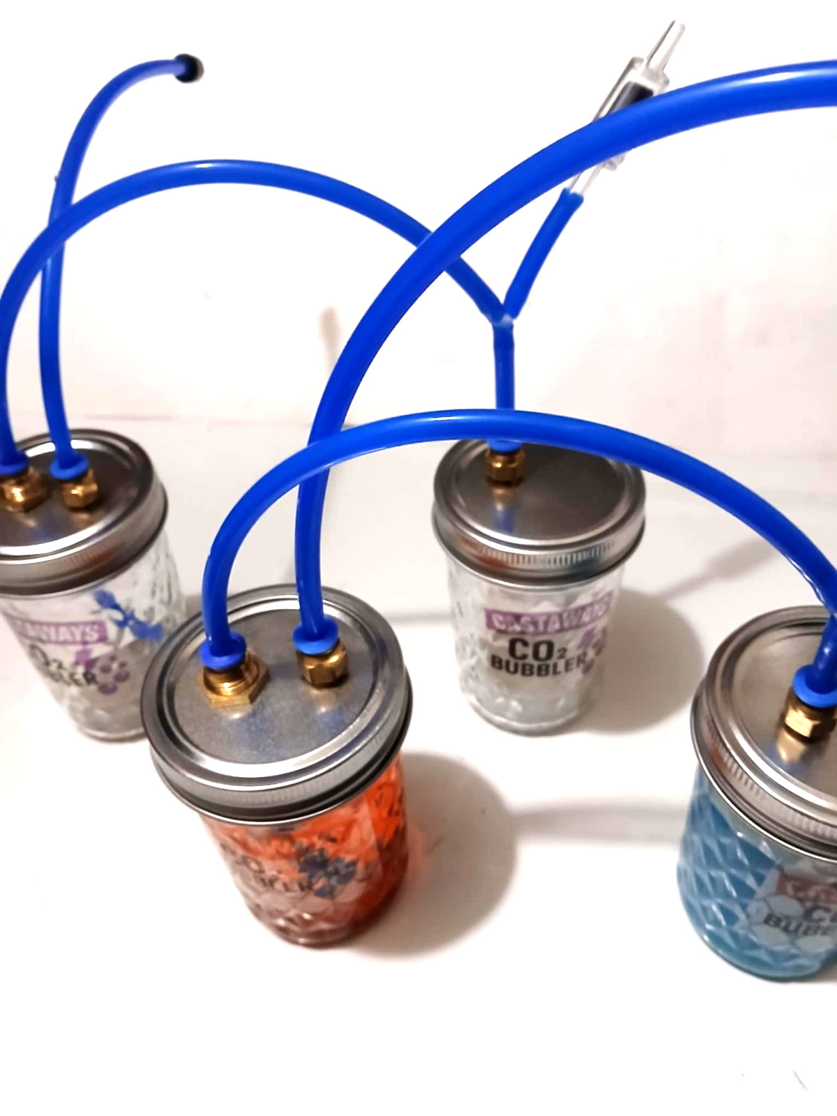“CO₂ Bubbler Jar Kit – Boost Plant Growth for Thriving Plants. “Castaways