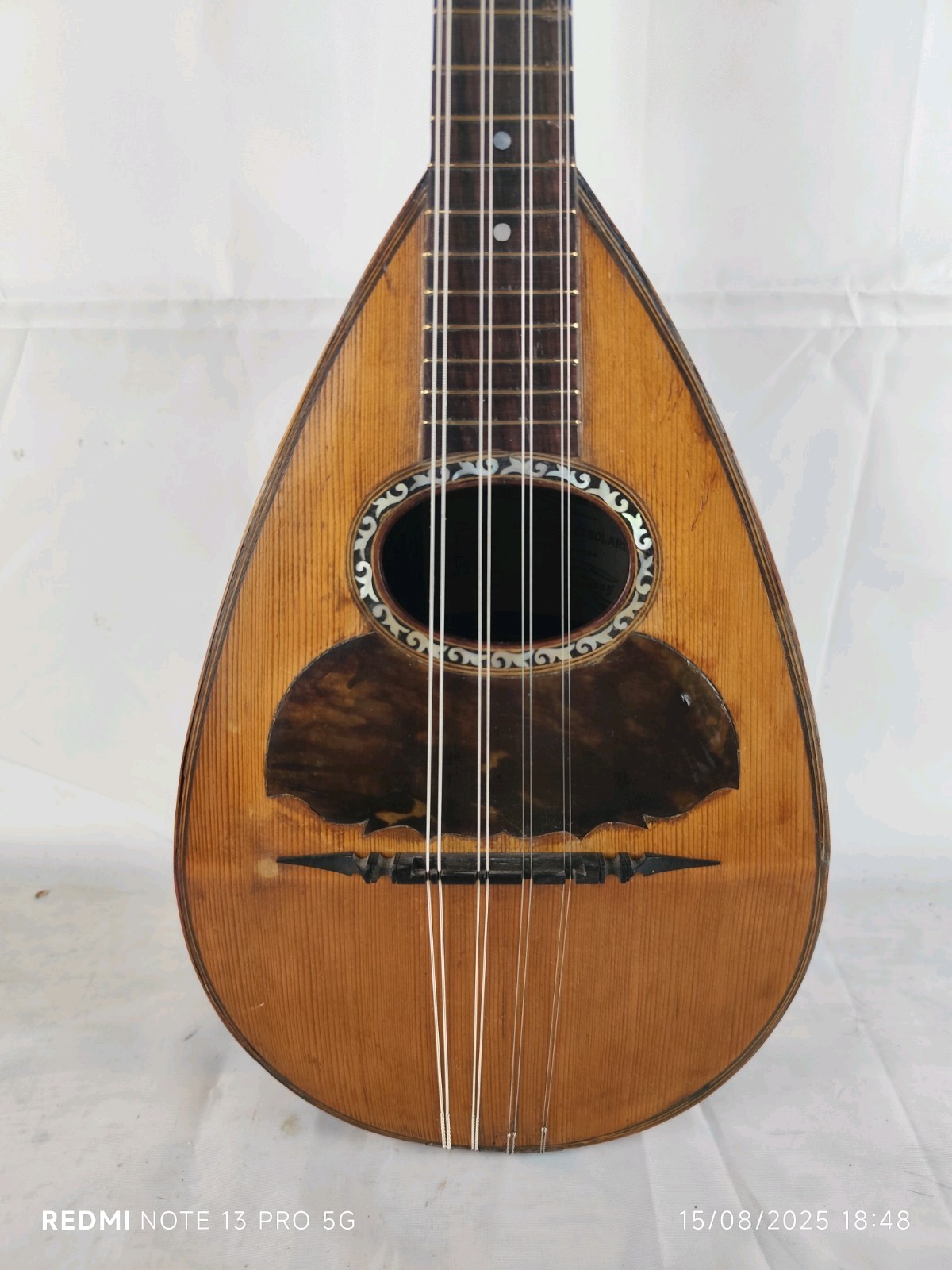 Mandolin 4/4 Giuseppe Cesolari 1905 Rome 曼陀林 만돌린マンドリン