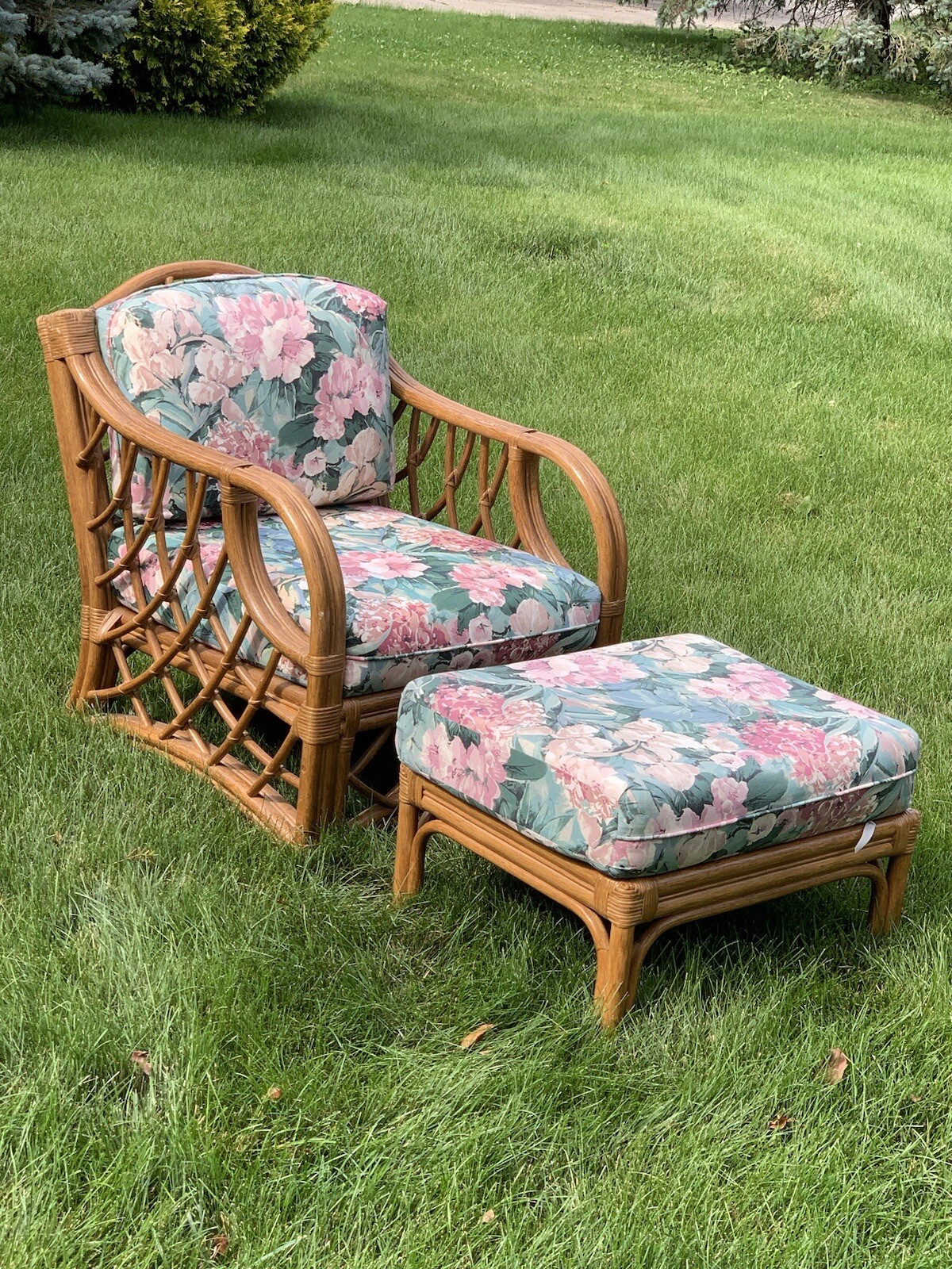 Vintage Lane Furniture Patio Rattan Chair & Ottoman