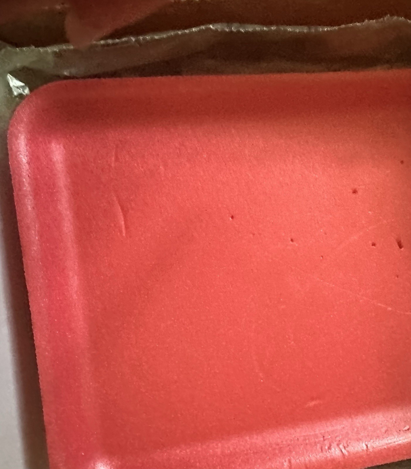 Carolina Crayfish Dissection Kit X 2