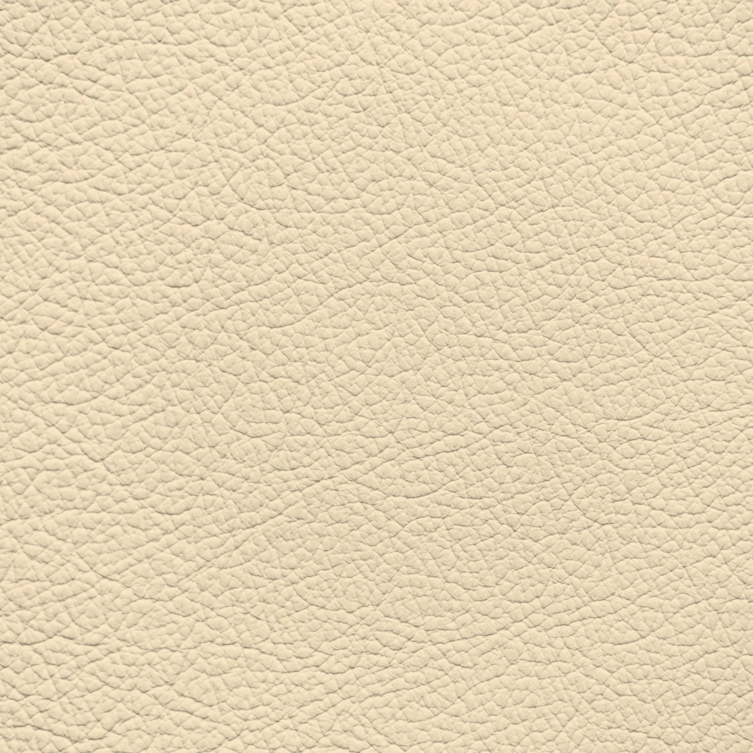 BMW Light Sand Leather Dye