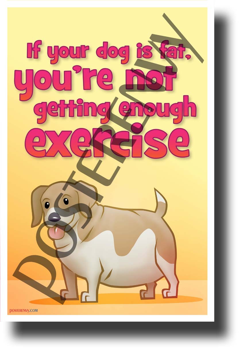 Fat Dog - NEW Health and Safety POSTER