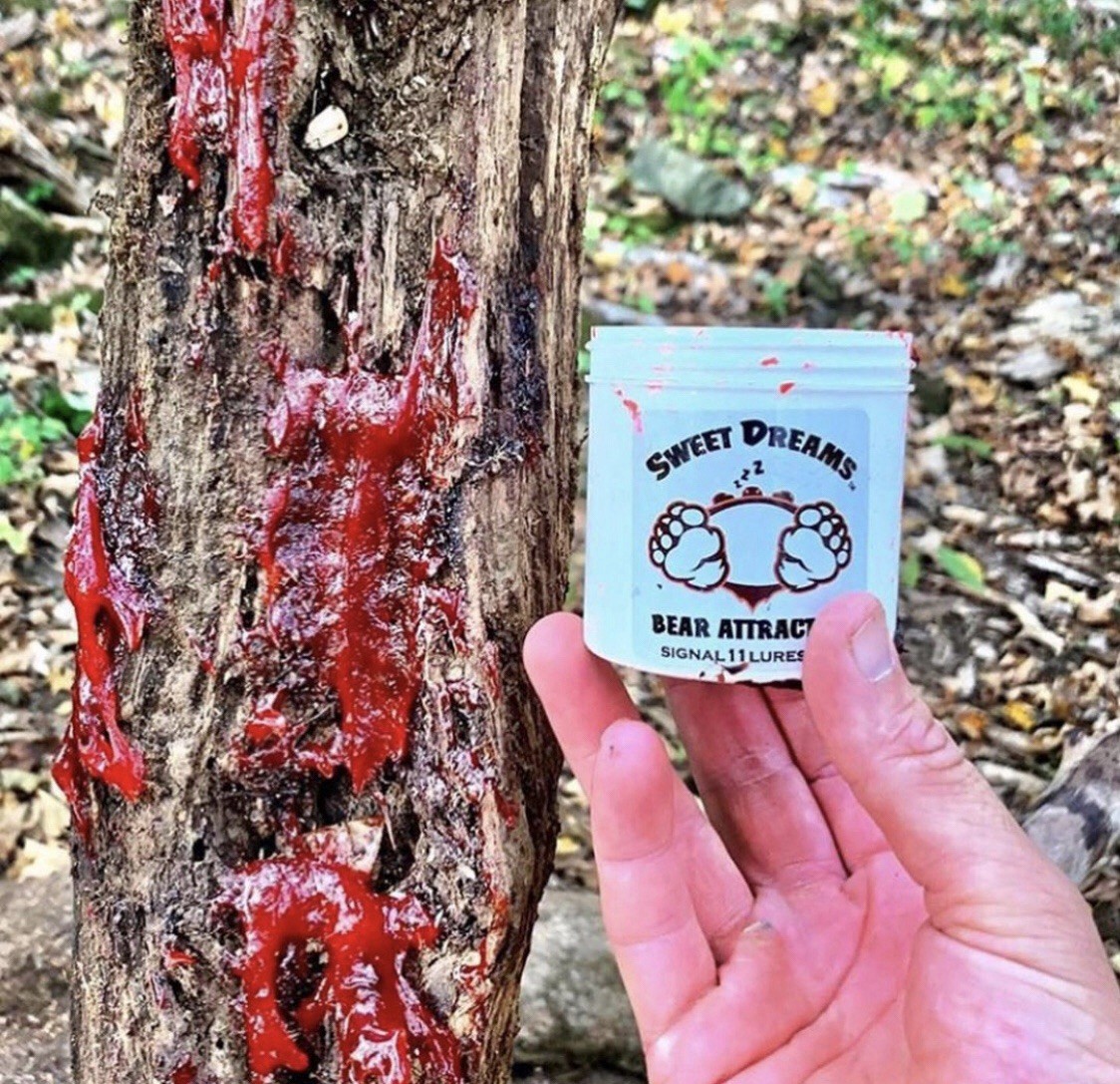 Bear attractant, “Sweet Dreams” gel, Great Stuff!