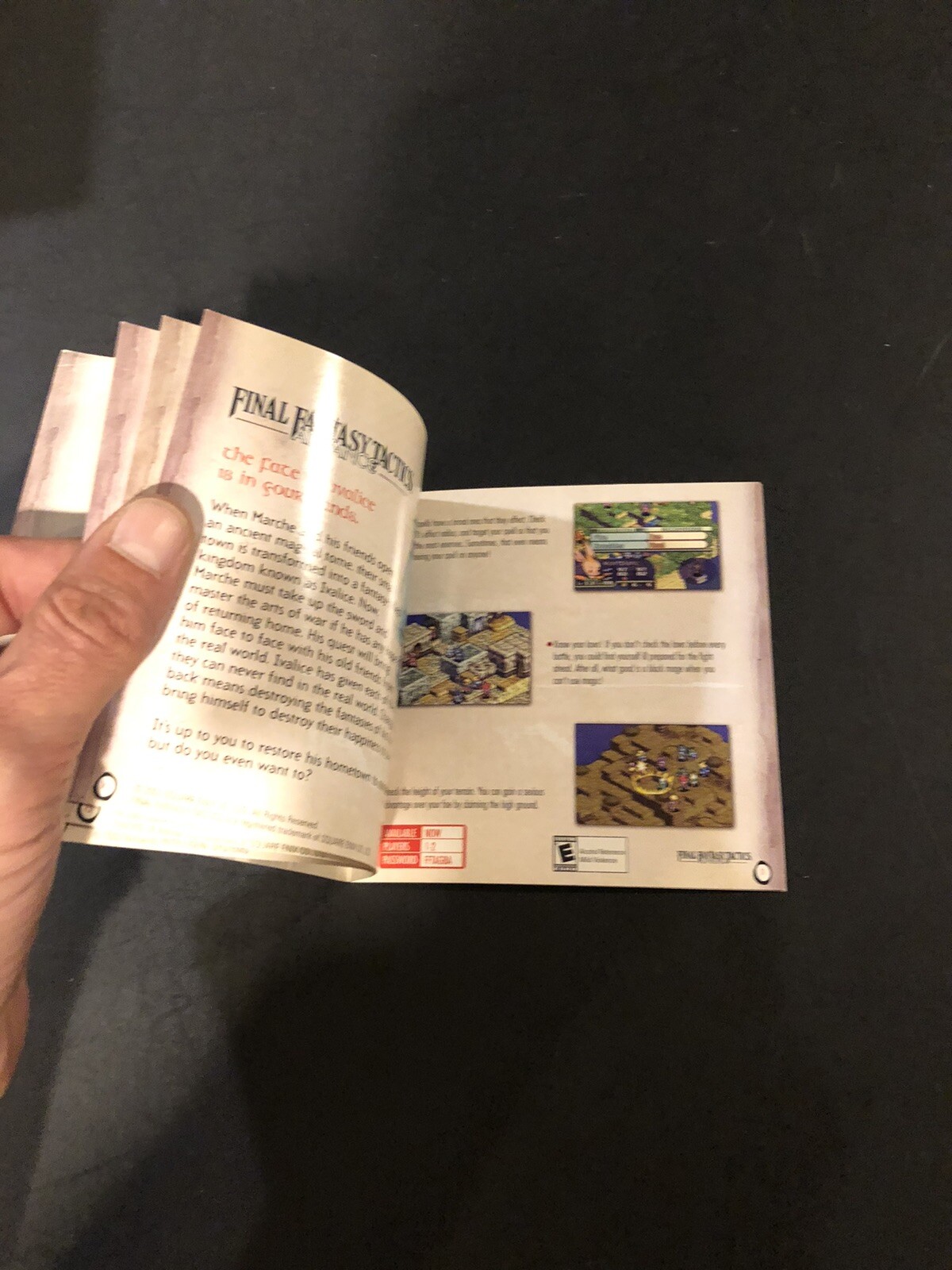 Nintendo gameboy advance journey is the beginning Insert