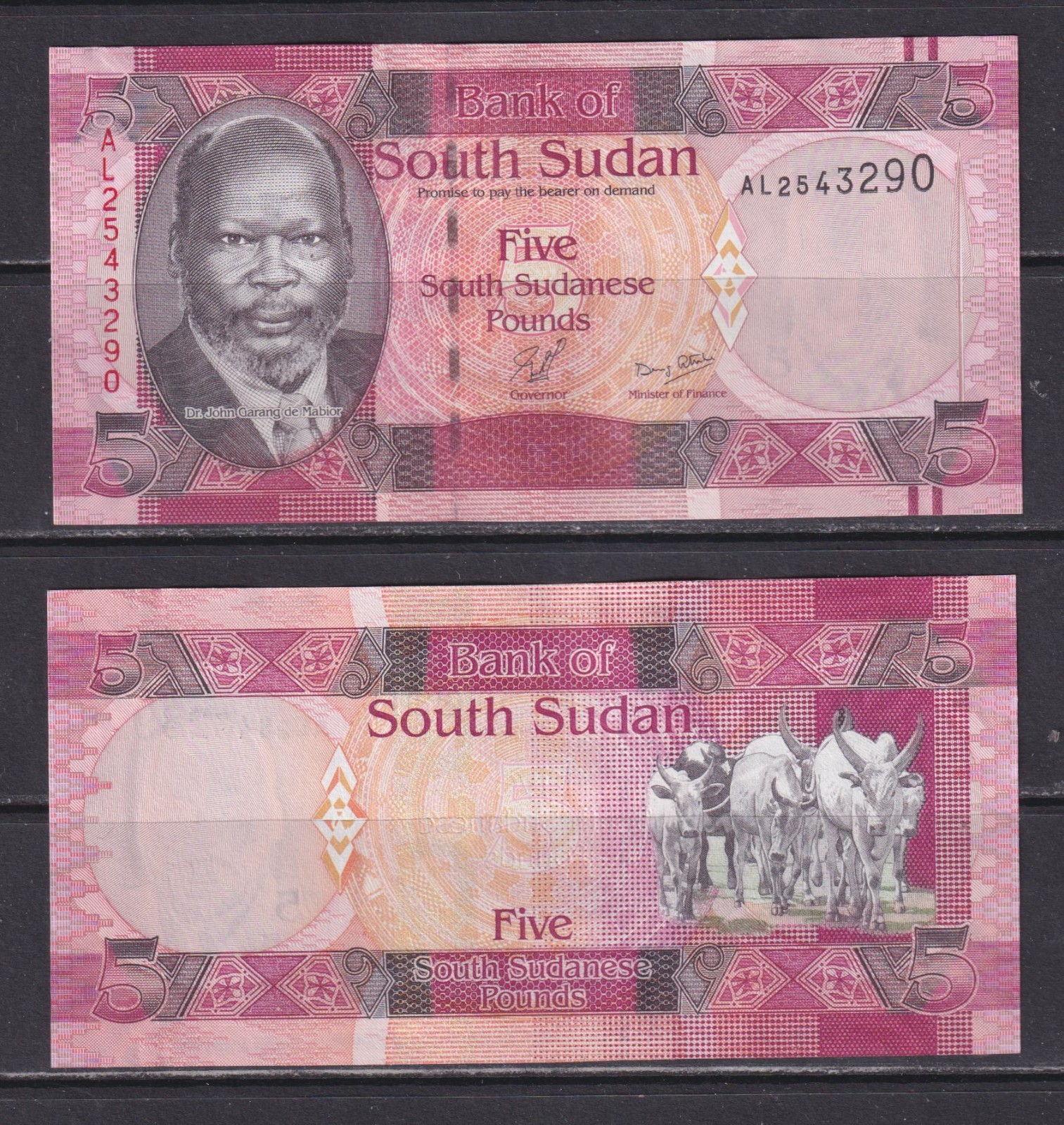 SOUTH SUDAN - 2011 5 Pounds UNC