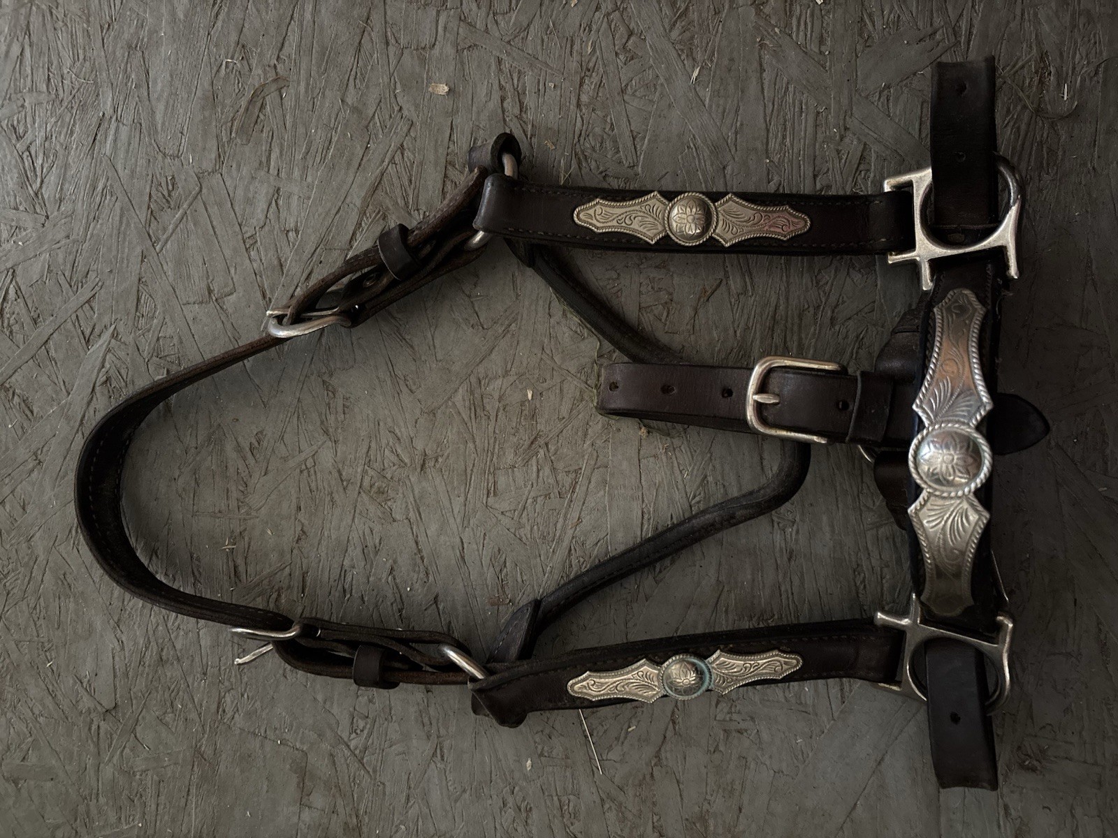 Western Show Halter