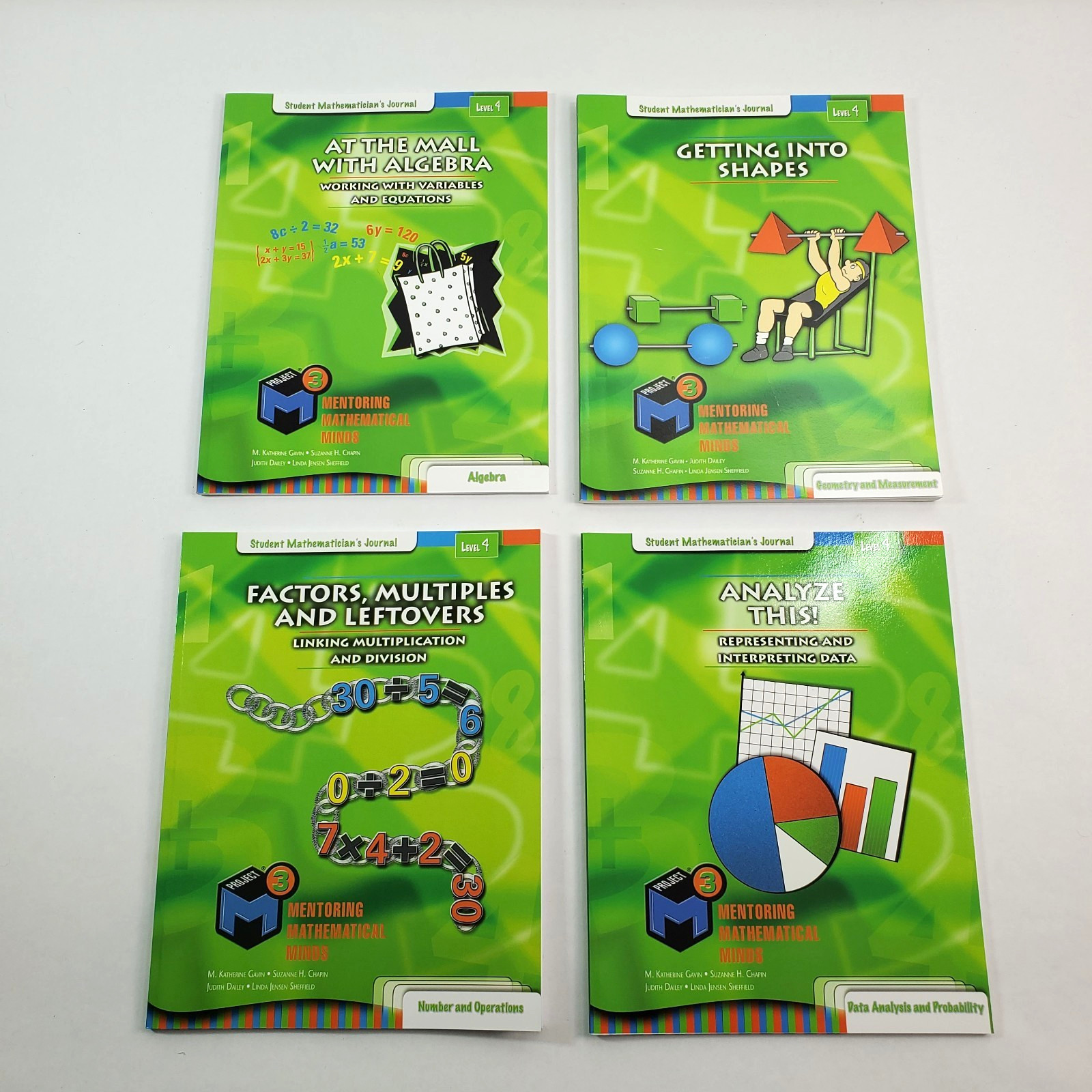 Lot of 4 Project M3 Level 4 Student Mathematician's Journal Workbooks Paperback