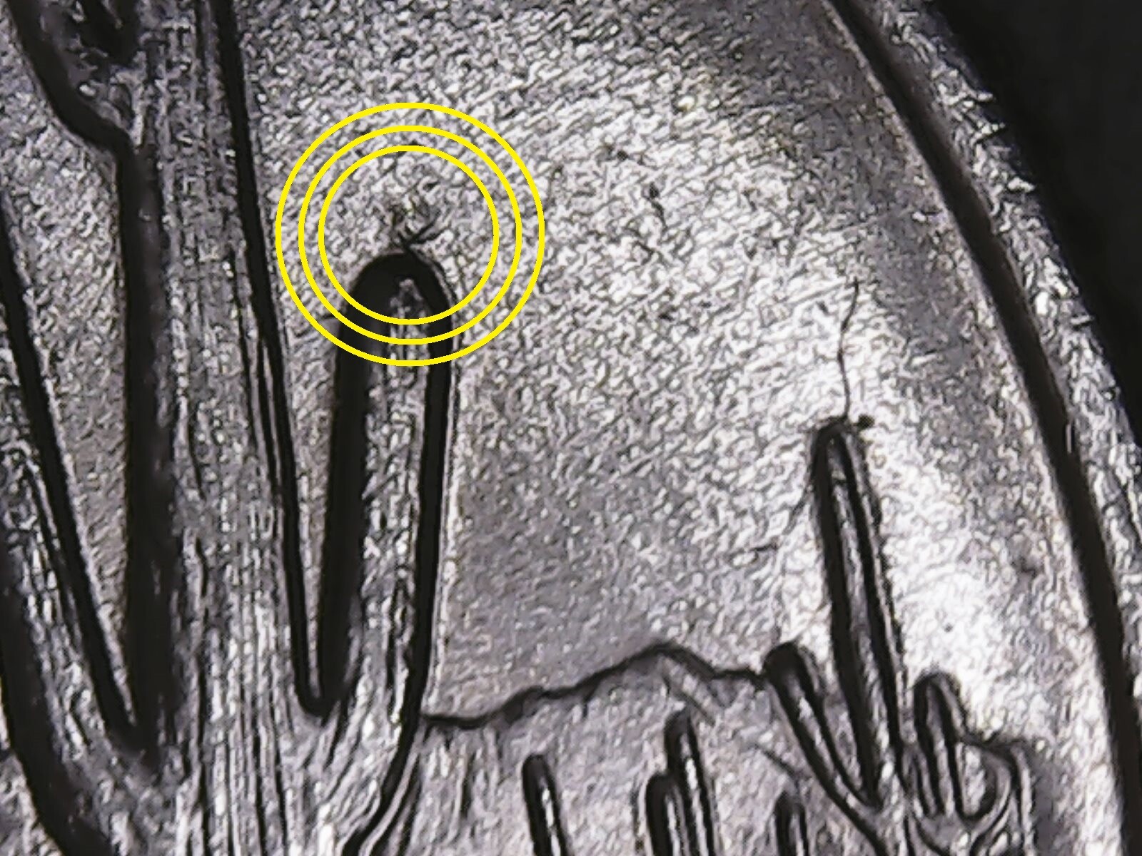 2008-P Arizona State Quarter with Die Chips and Die Cracks + Bird on a Cactus.