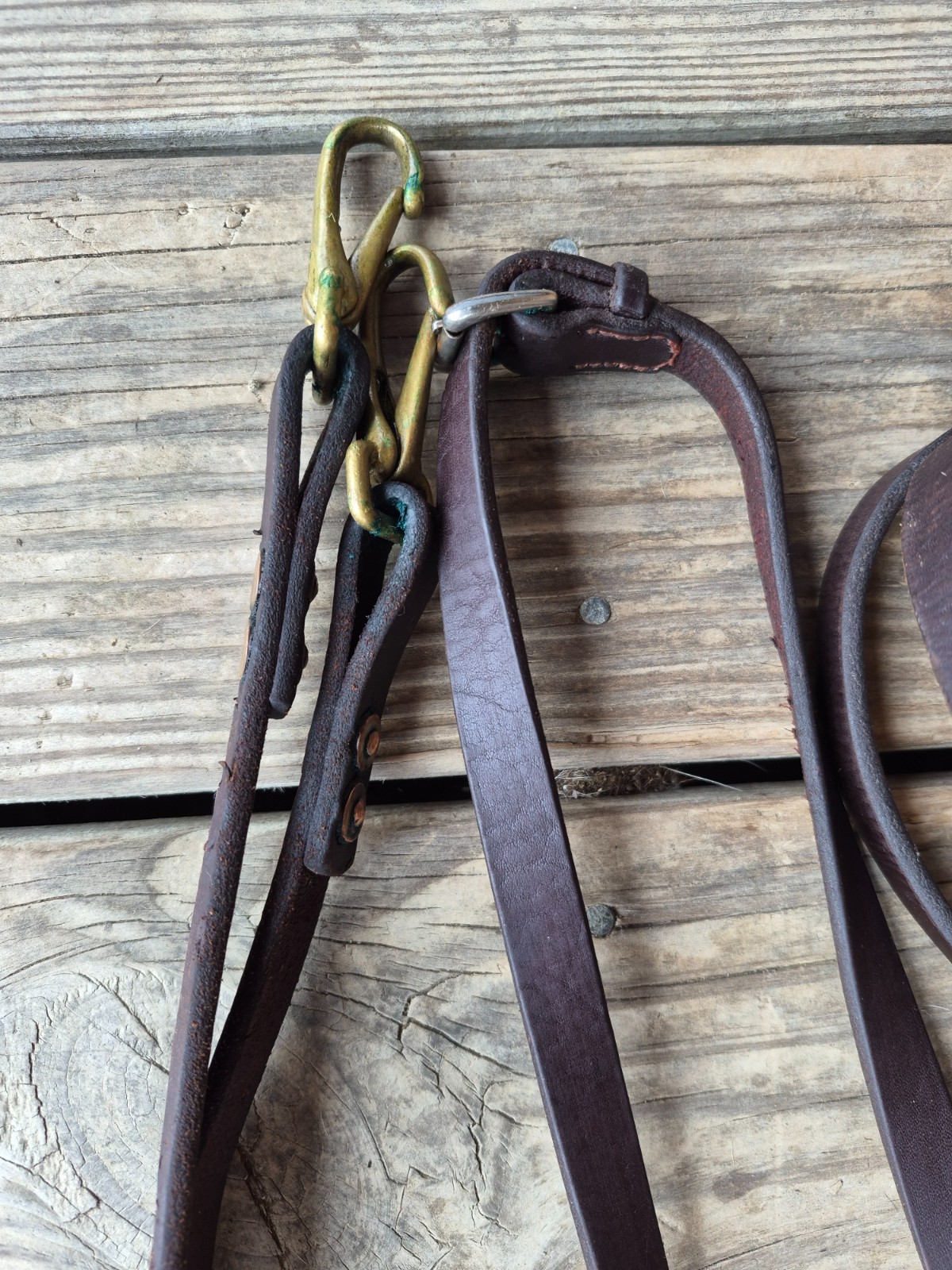 Trail Reins 2 sets one leather one biothane 10+' ech