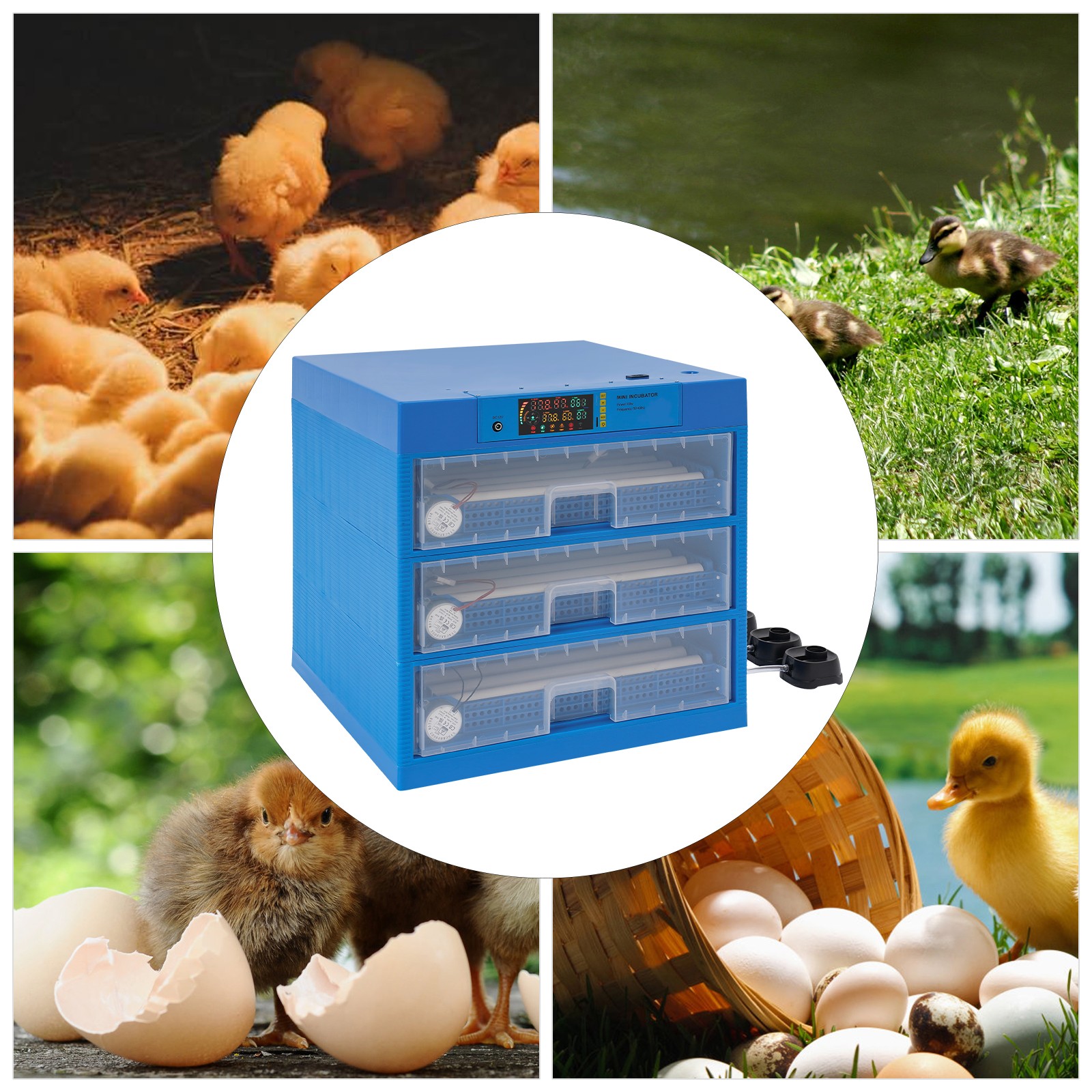 Automatic Egg Incubator 150-180 Eggs, Auto Turning, LED Display, Blue