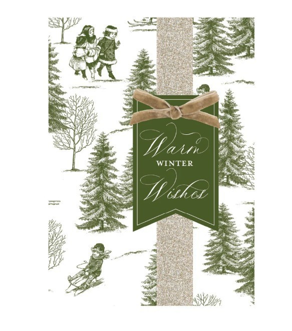 Anna Griffin, "Winter Toile" 3 Dimensional Boxed Holiday Cards, 10 Count