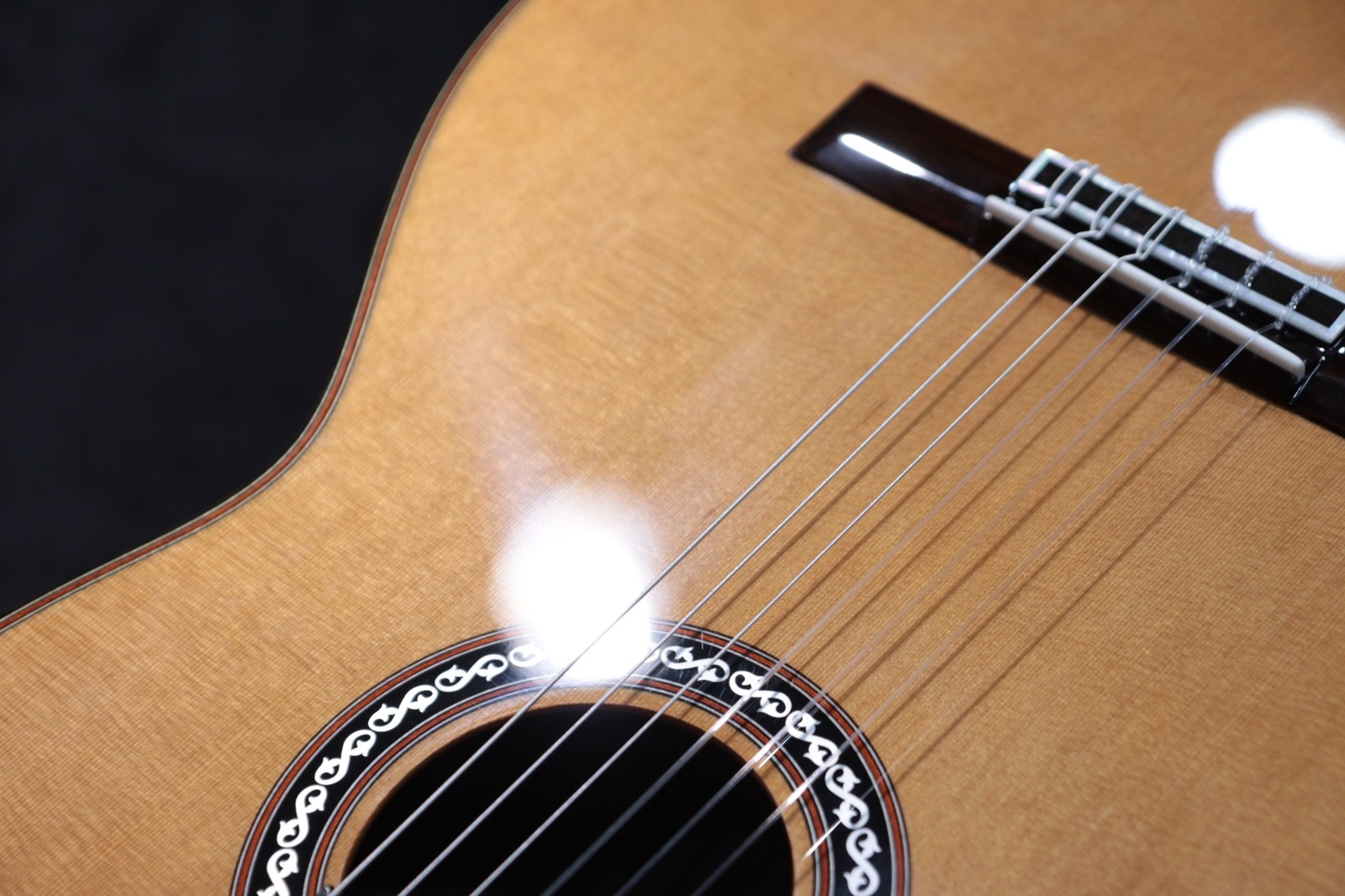 Cordoba C10 CD Lefty Luthier Series Solid Cedar Top Classical Guitar w/Case