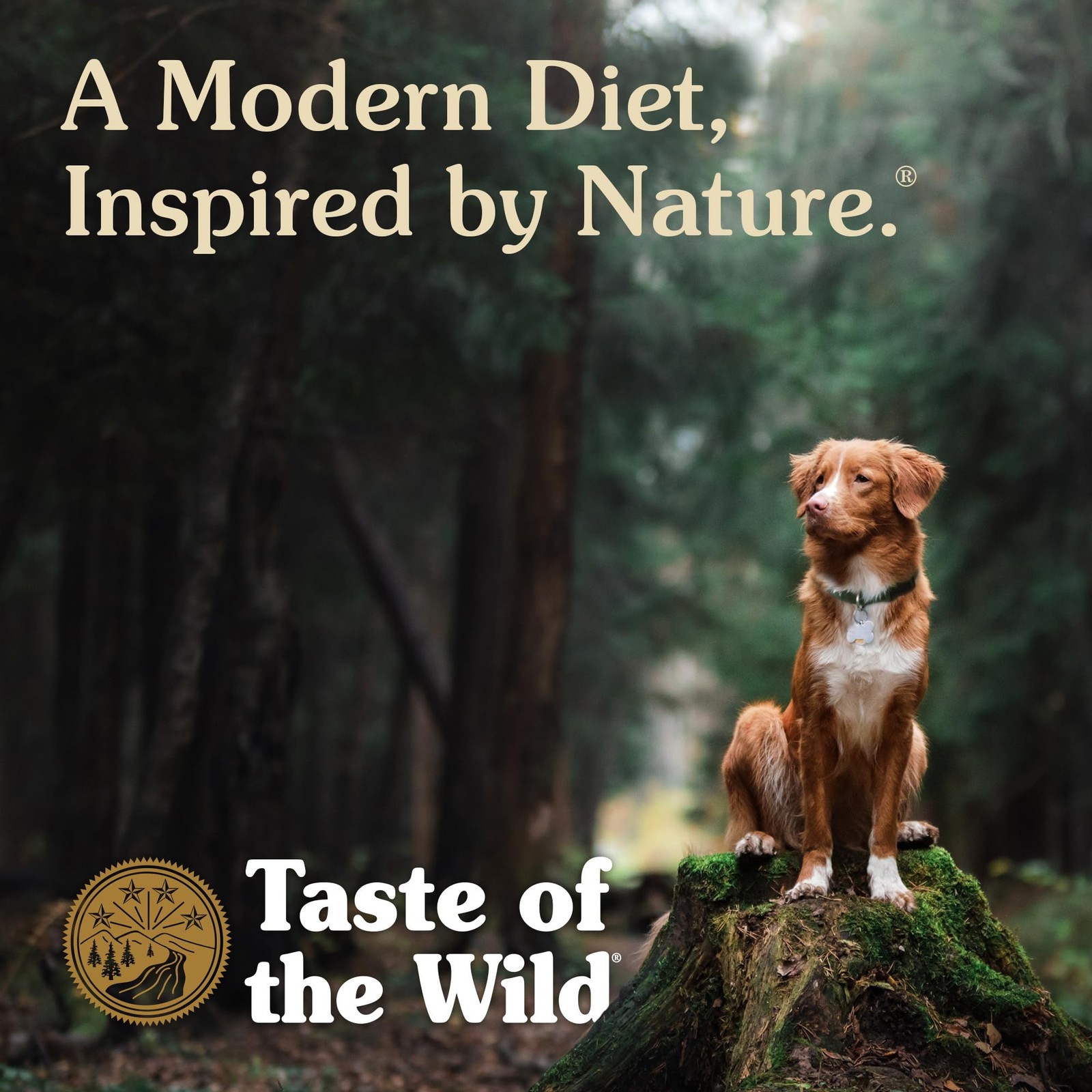 Taste of the Wild Appalachian Valley Small Breed Grain-Free Roasted Venison Dog