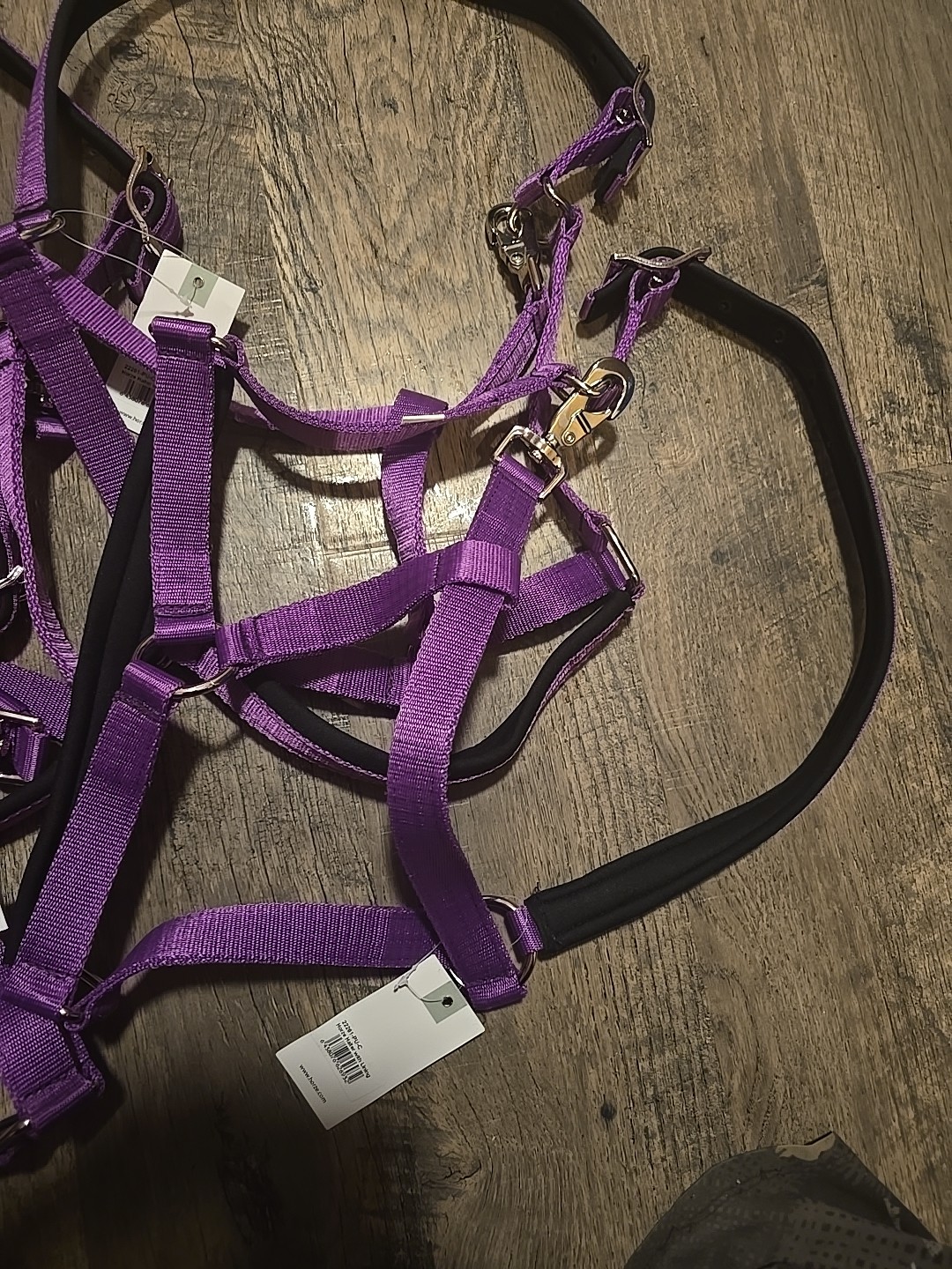 Cob Halter Lot