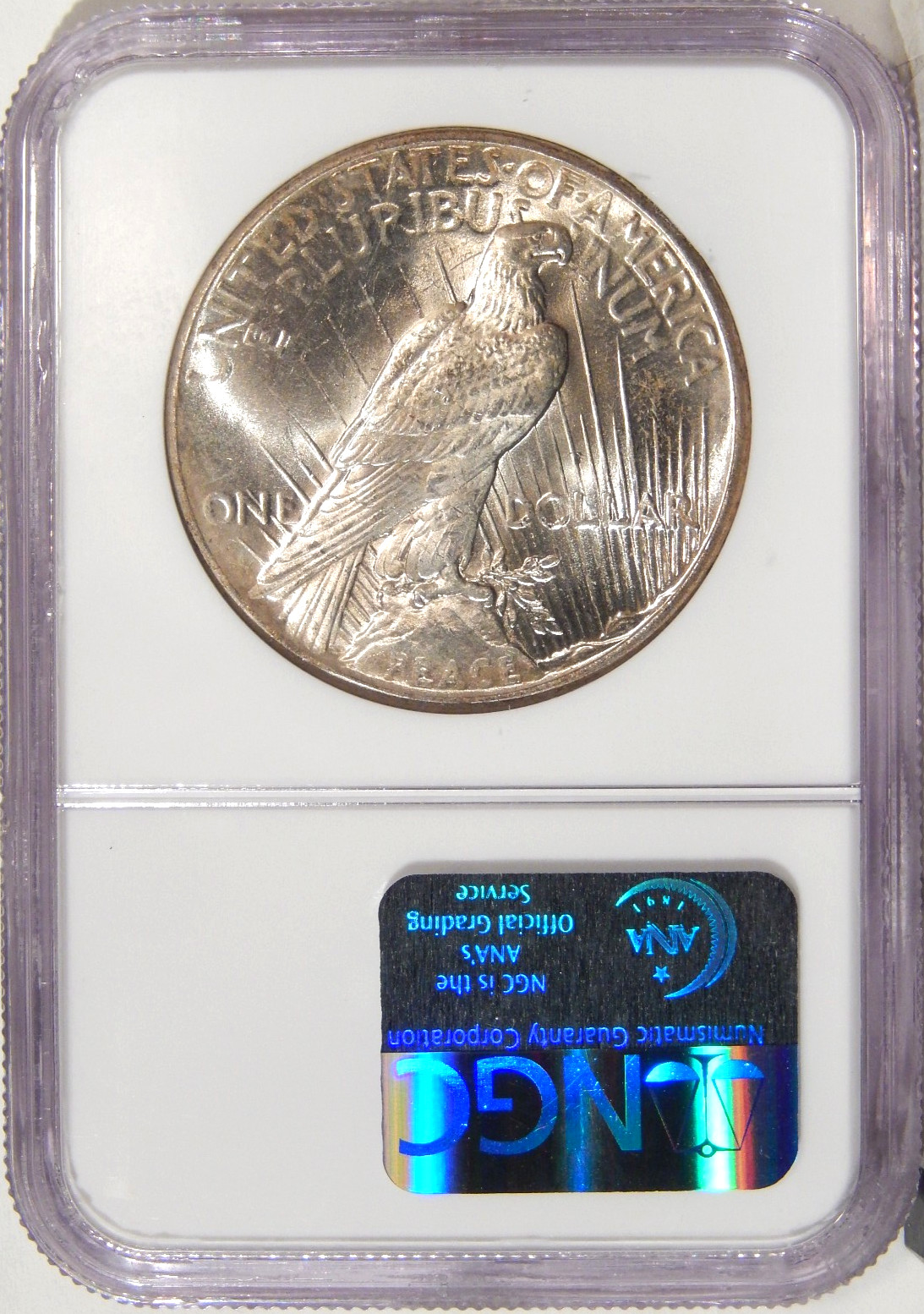 1925 $1 NGC MS 65 ~ HIGH-END SILVER PEACE DOLLAR