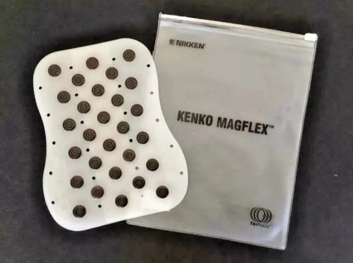 Nikken Pimag MicroJet Wall Mount Shower System Replacement Filter #13831 - NEW🔥