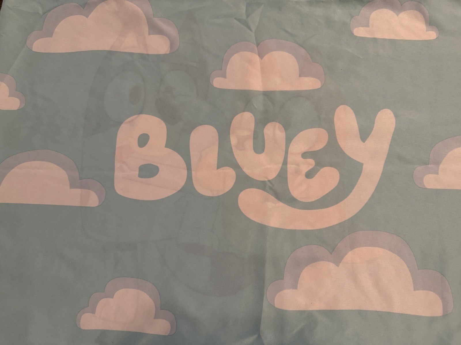Bluey One Standard Size Pillowcase Bluey Bingo Multicolor