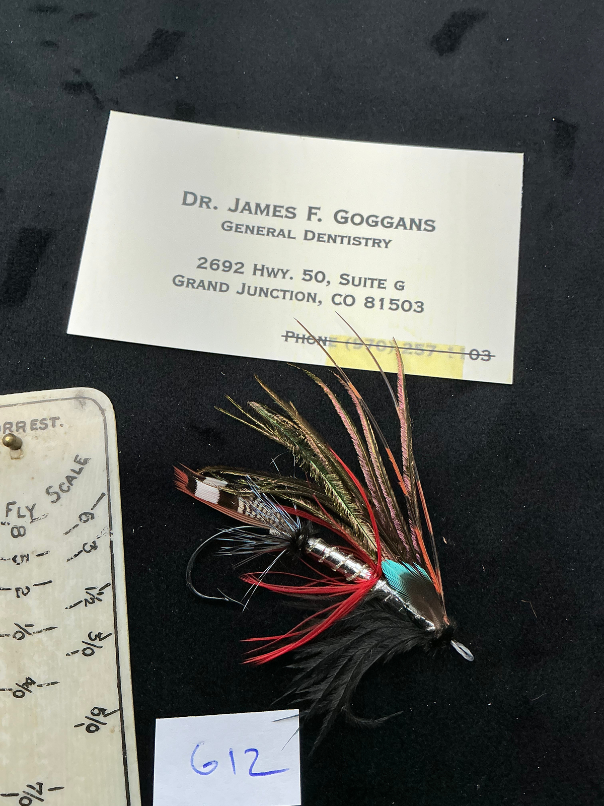 Dr. James Goggans Salmon Fly G12
