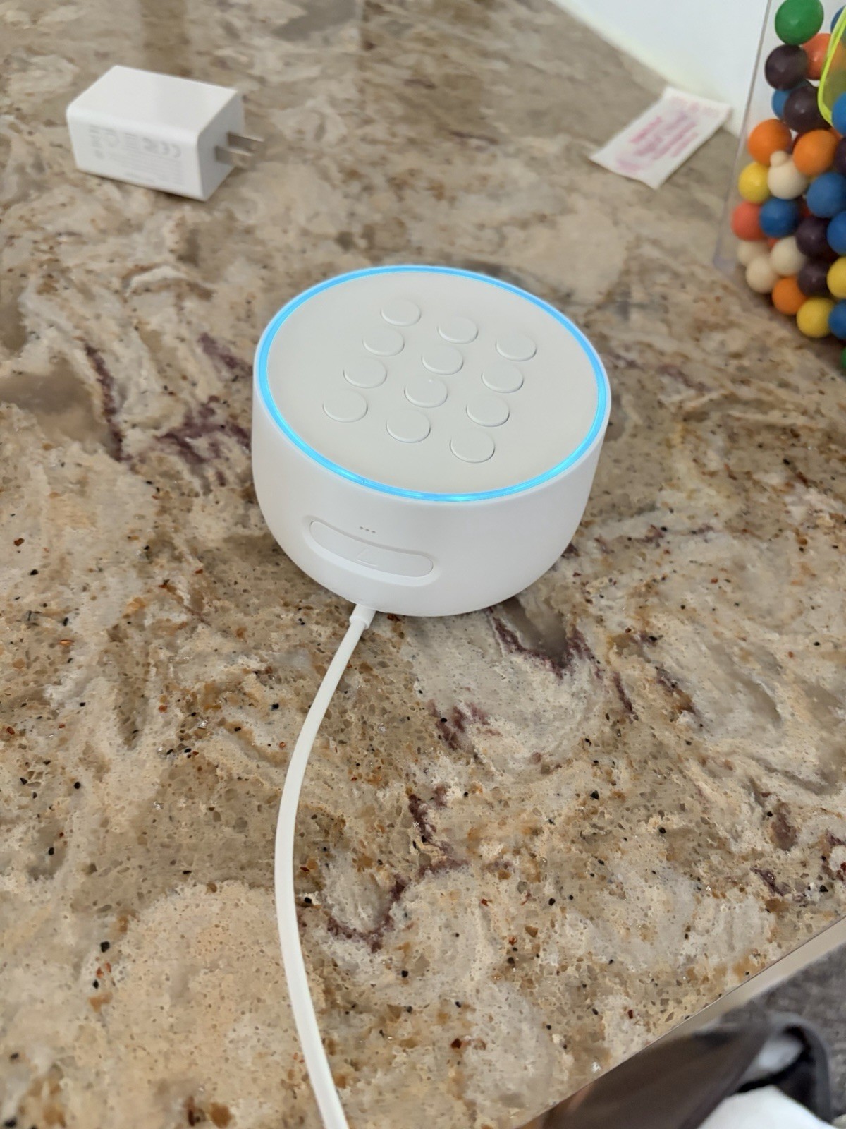 nest guard