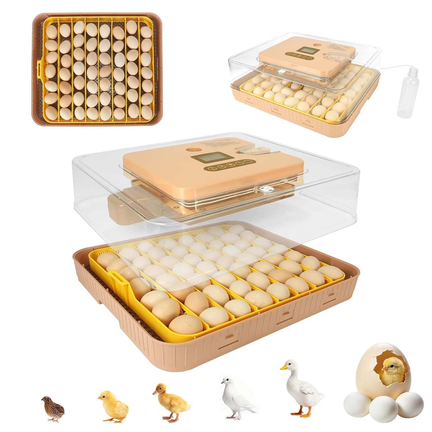 Gen IV Fully Automatic 56 Egg Incubator with Smart Temp & Humidity Control