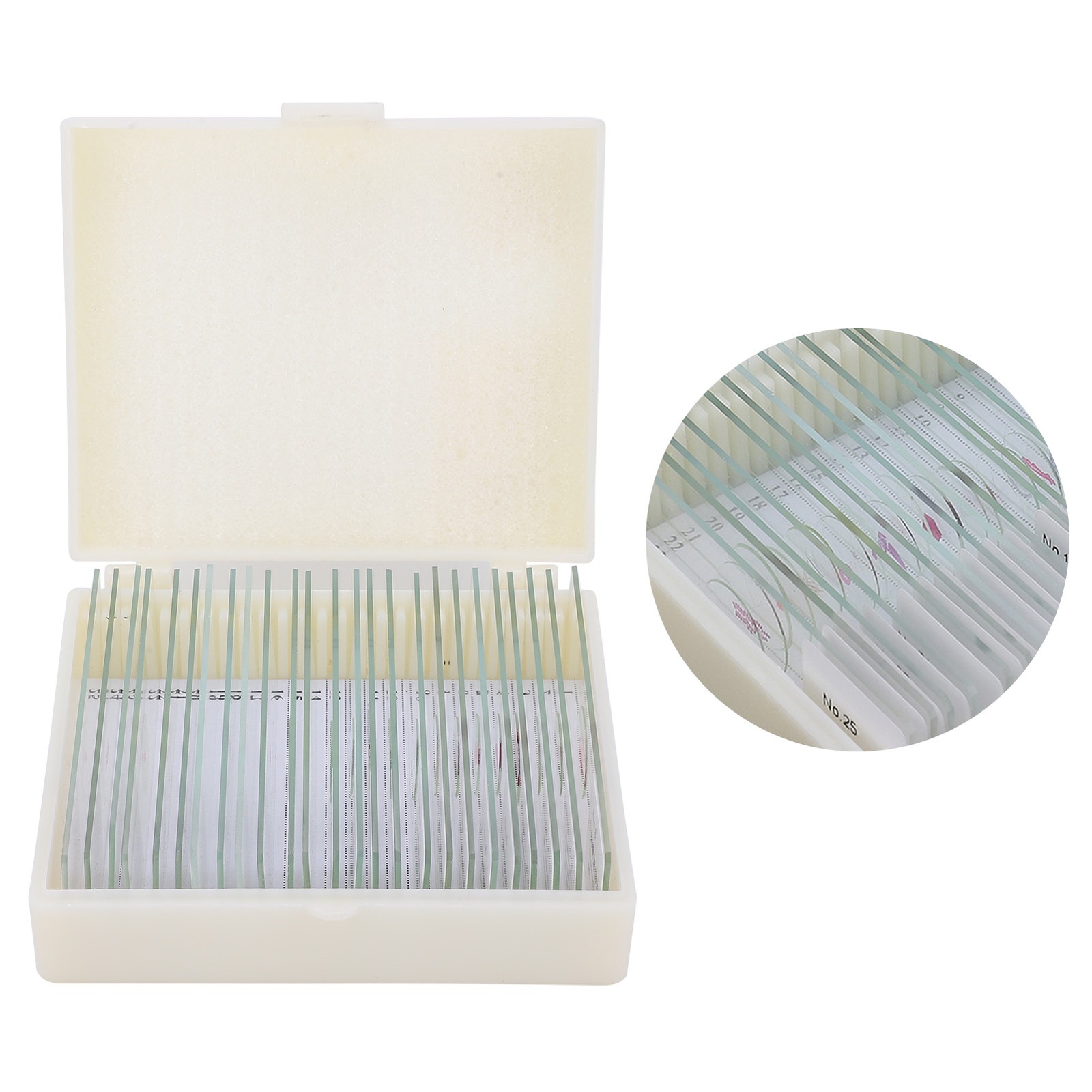 25Pcs Animal Slides Microscope Sample Slides For Science Education Popular