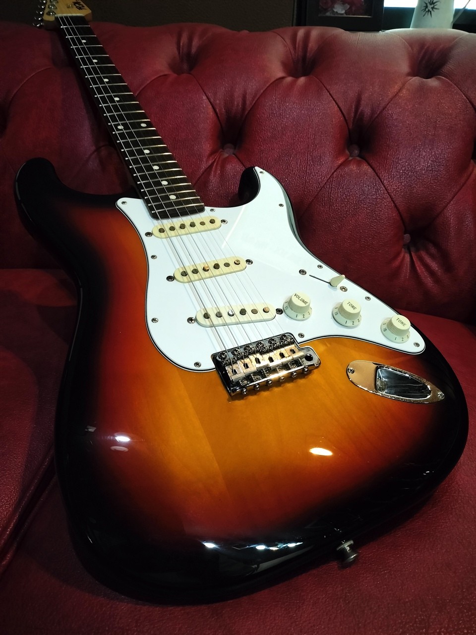 FUJIGEN FGN BCST100