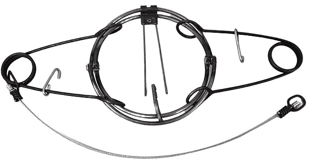 RBG #160 6" Body Grip Trap Double Spring Trap Trapping Supplies 1 Trap