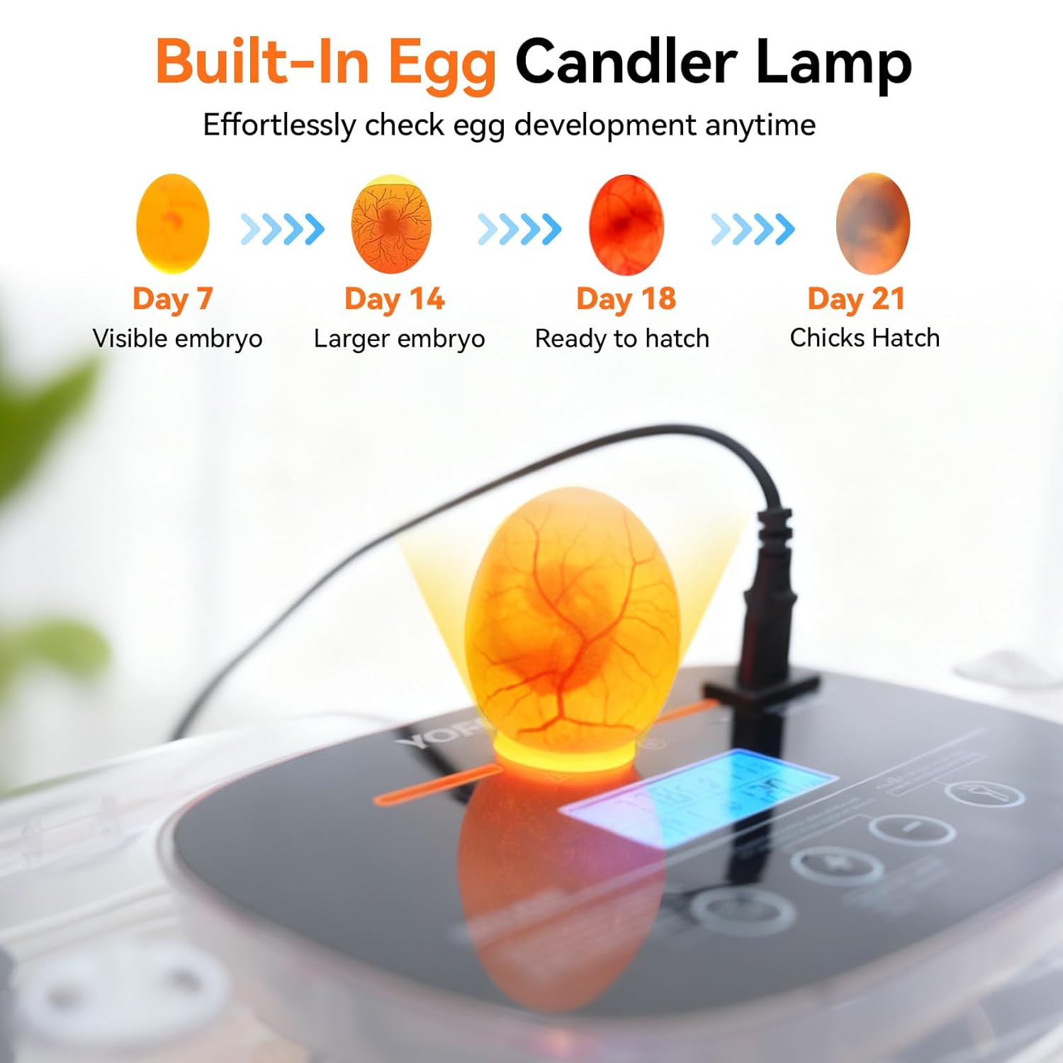 Incubators for Hatching Eggs, 24 Egg Incubator, Automatic Egg Turner with Humidi