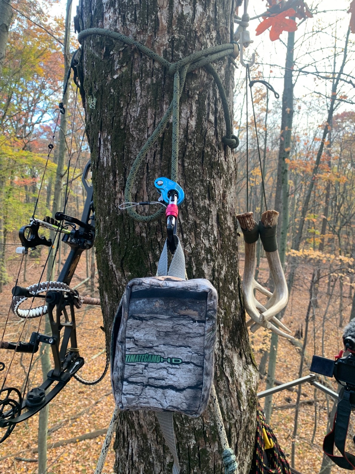 "Sleepy Head” tree saddle accessories