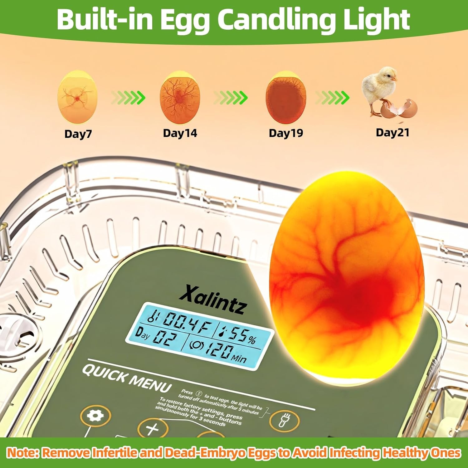 Automatic 12 Egg Incubator Digital Display Thermometer Humidity Hatch Timer