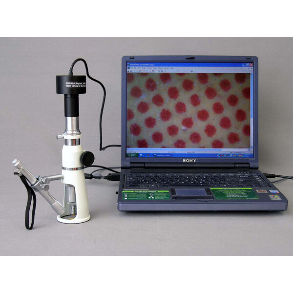 AmScope H50 50X Stand / Shop / Monocular Measuring Stereo Microscope + Pen Light