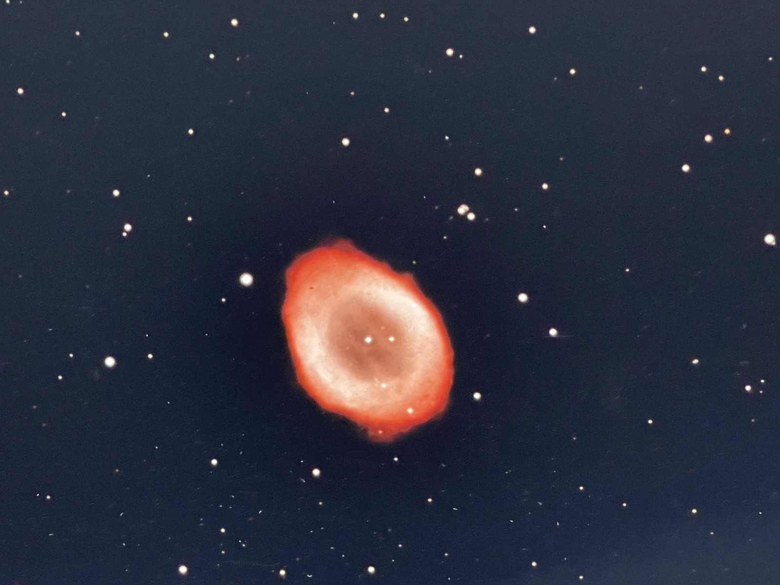 VINTAGE SPACE  RING NEBULA  PHOTO DEEP SPACE
