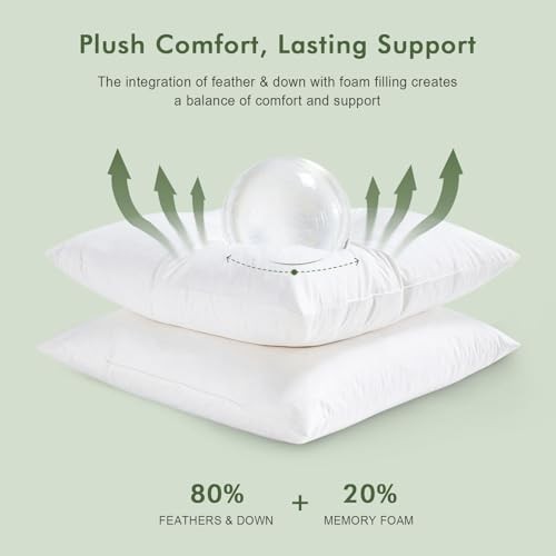 Feather Down Throw Pillow Inserts 20 x 20x20 Inch(Pack of 2) White(pack of 2)