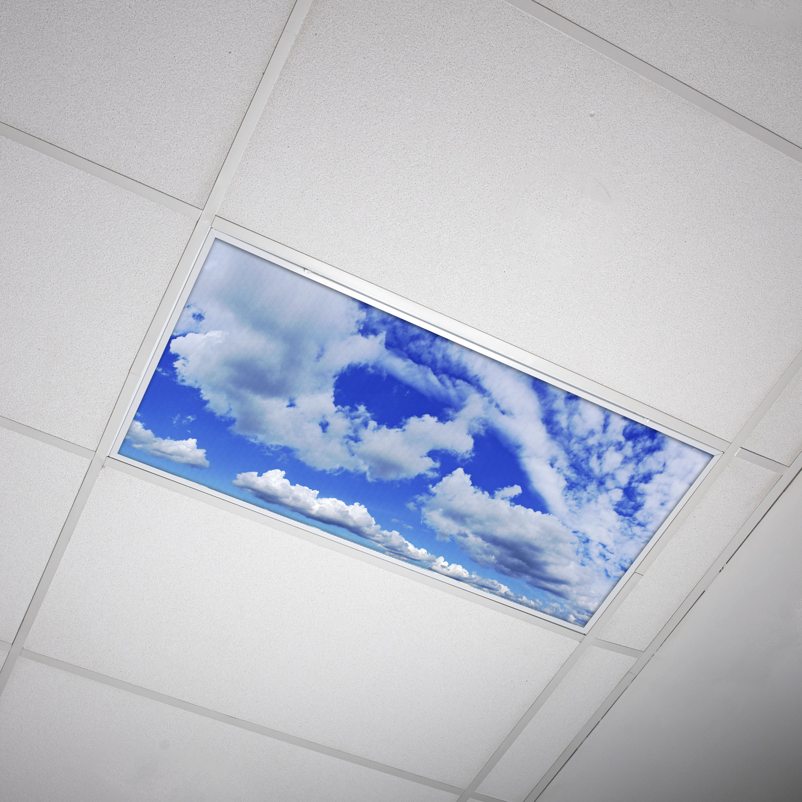 Octo Lights - Fluorescent Light Covers - School, Office, Home - Cloud - 007