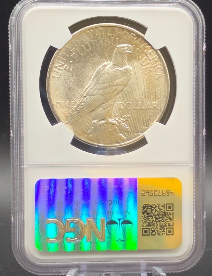 1925 Peace Dollar NGC MS64 – Bright White Luster, Clean Fields, Certified