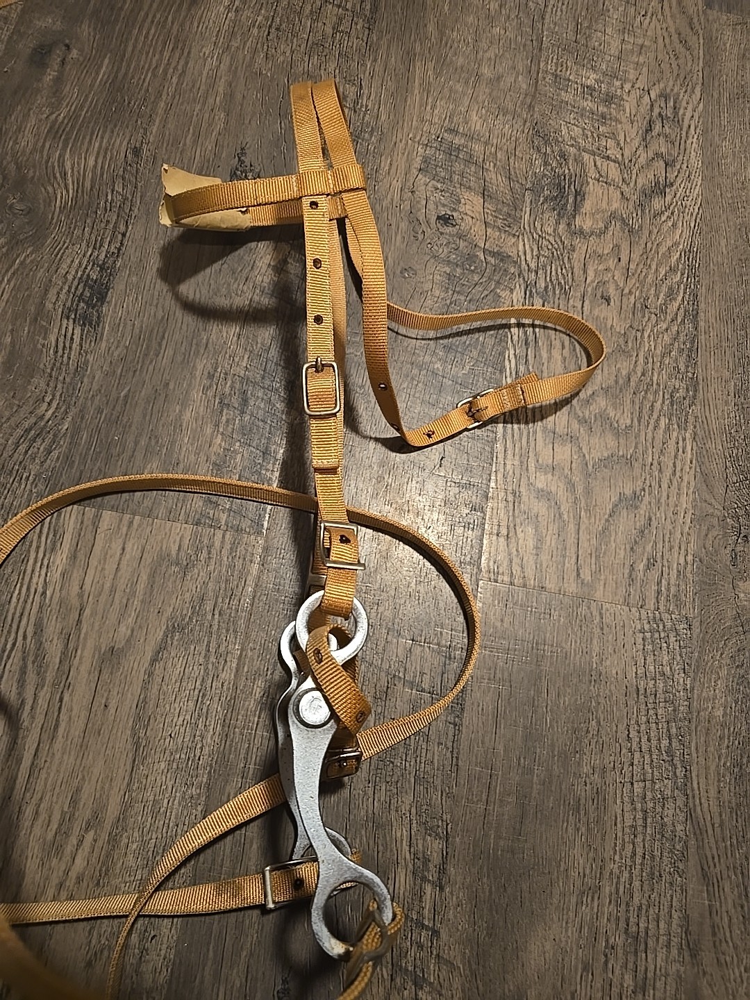 western bridle